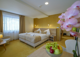 PEOPLE MANAGEMENT & LEADERSHIP V HOTELIERSTVE