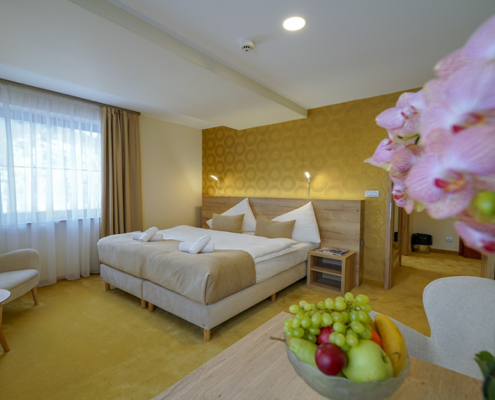 PEOPLE MANAGEMENT & LEADERSHIP V HOTELIERSTVE